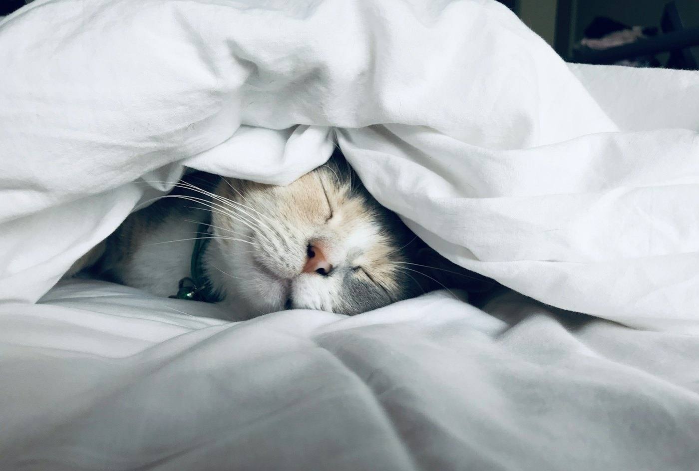 Restful sleep
